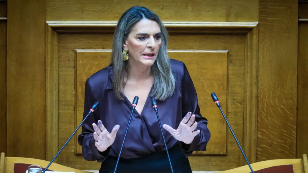 Πέρκα: Η κ. Κοβέσι ήταν καταπέλτης και ειδικά σε σχέση με αυτά που ακούστηκαν μέσα στην Βουλή χθες