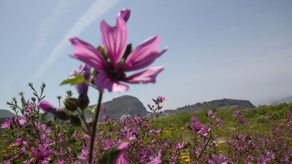 Πρωτομαγιά: Πώς θα λειτουργήσουν σούπερ μάρκετ και τράπεζες