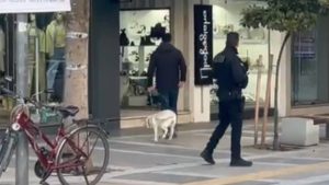 Σέρρες: Λήξη συναγερμού στο γραφείο της Φωτεινής Αραμπατζή – Είχε προηγηθεί τηλεφώνημα για βόμβα (βίντεο)