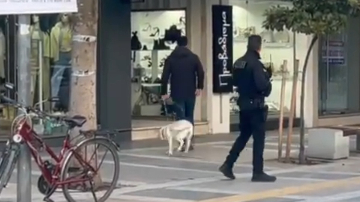 Σέρρες: Λήξη συναγερμού στο γραφείο της Φωτεινής Αραμπατζή – Είχε προηγηθεί τηλεφώνημα για βόμβα (βίντεο)