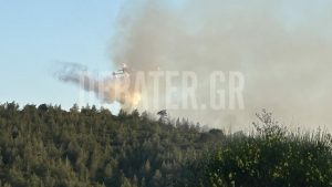 Φωτιά σε δασική έκταση στην Σκιάθο – Επιχειρεί ένα αεροσκάφος (Βίντεο)