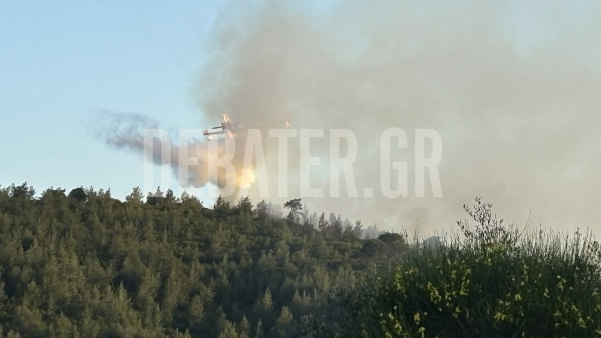 Φωτιά σε δασική έκταση στην Σκιάθο – Επιχειρεί ένα αεροσκάφος (Βίντεο)