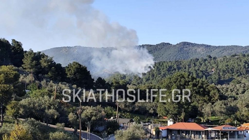 Φωτιά σε δασική έκταση στην Σκιάθο – Επιχειρεί ένα αεροσκάφος