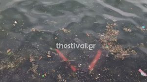 Θεσσαλονίκη: Σκουπίδια και πατίνια «πνίγουν» τον Θερμαϊκό (Εικόνες & Βίντεο)