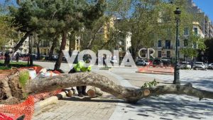 Θεσσαλονίκη: Πτώσεις δέντρων από ισχυρούς ανέμους – Τραυματίστηκαν δύο παιδιά (Εικόνες & Βίντεο)