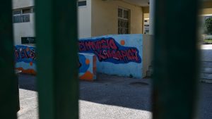 Χαϊδάρι: “Μέσα σε δευτερόλεπτα γλίστρησε προς τα πίσω” –  Τι λέει καθηγήτρια του σχολείου μετά την πτώση της μαθήτριας από τον 1ο όροφο