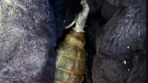 Επιχείρηση «σκούπα» της ΕΛΑΣ σε Κυψέλη και Πατήσια – Εντοπίστηκε χειροβομβίδα σε σπίτι