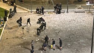 ΠΑΟΚ: Παρά τον χαμένο τελικό με την Μπιλμπαό καθάρισαν την πλατεία Ναυαρίνου (φωτογραφίες)