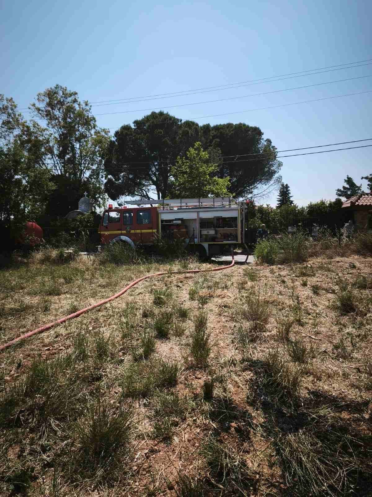 Φωτογραφία