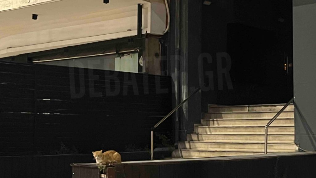 Καλλιθέα: “Συχνός πελάτης” ο 58χρονος που πυροβόλησε με ούζι την ιδιοκτήτρια του μπαρ