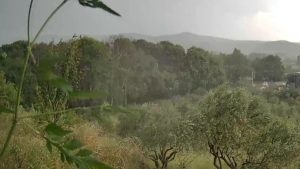 Τρίκαλα: Τρομερό μπουρίνι ανάμεσα σε Πλάτανο και Ρίζωμα (Βίντεο)