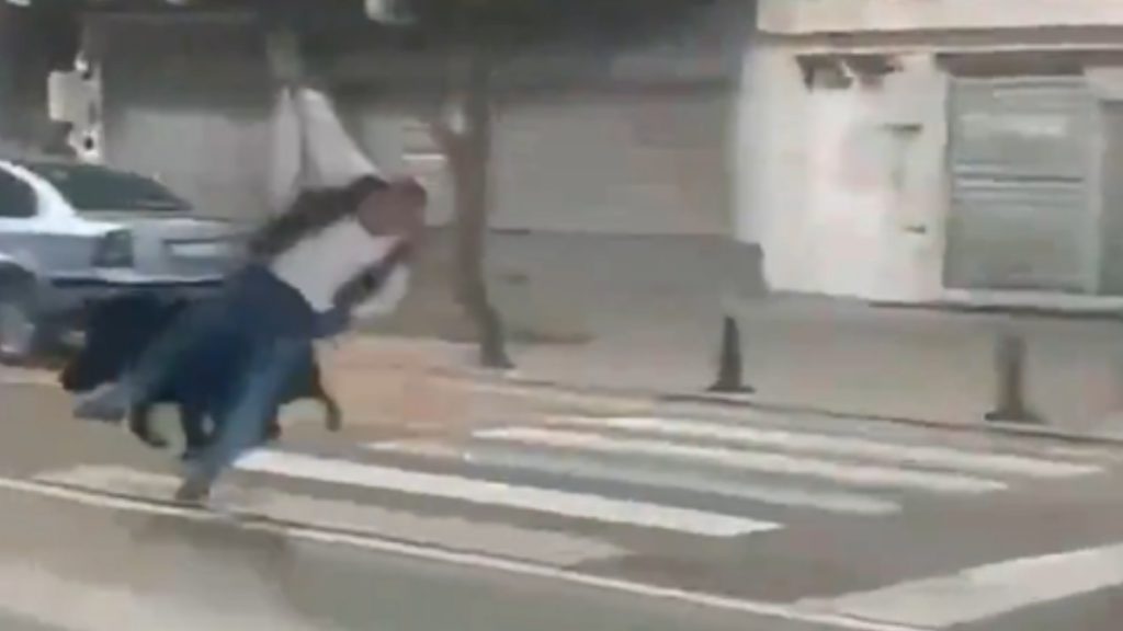 Τουρκία: Αγριογούρουνο έτρεχε σε πολυσύχναστο δρόμο και τραυμάτισε τρία άτομα (βίντεο)