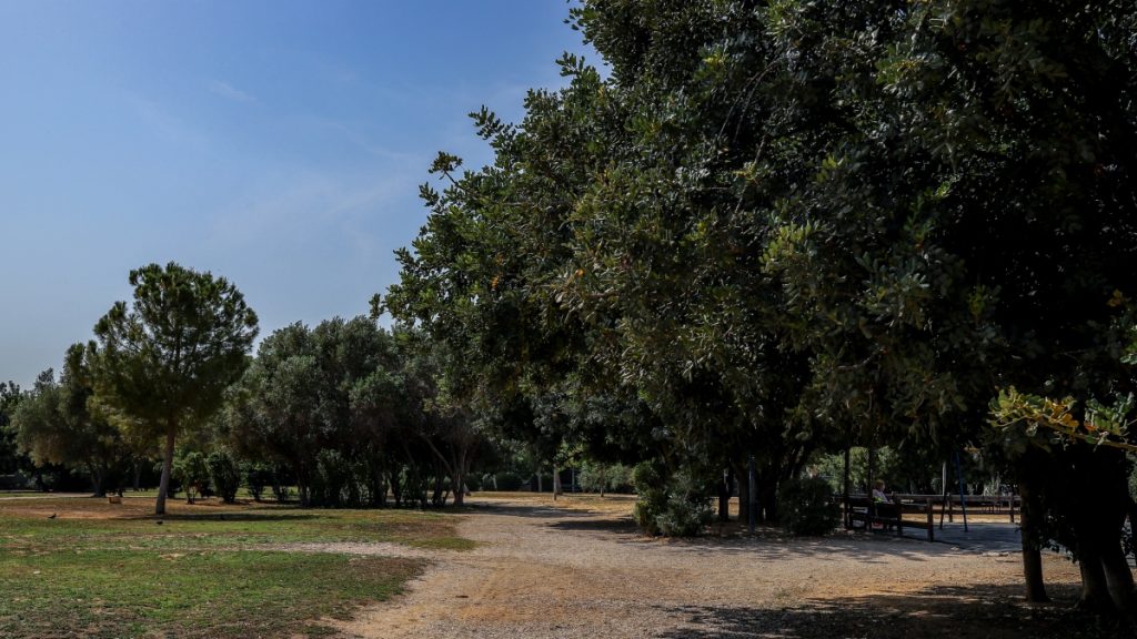 Αθήνα: Χειροπέδες σε 52χρονο για πυρκαγιά στο πάρκο της Ακαδημίας Πλάτωνος