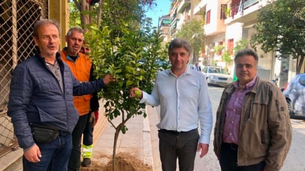 12.304 νέα δέντρα στην Αθήνα – Λεμονιές και νέες φυτεύσεις στον Άγιο Παύλο (εικόνες)