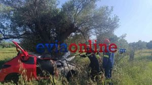 Εύβοια: Αυτοκίνητο έφυγε από τον δρόμο, έπεσε σε ελιά και τυλίχθηκε στις φλόγες