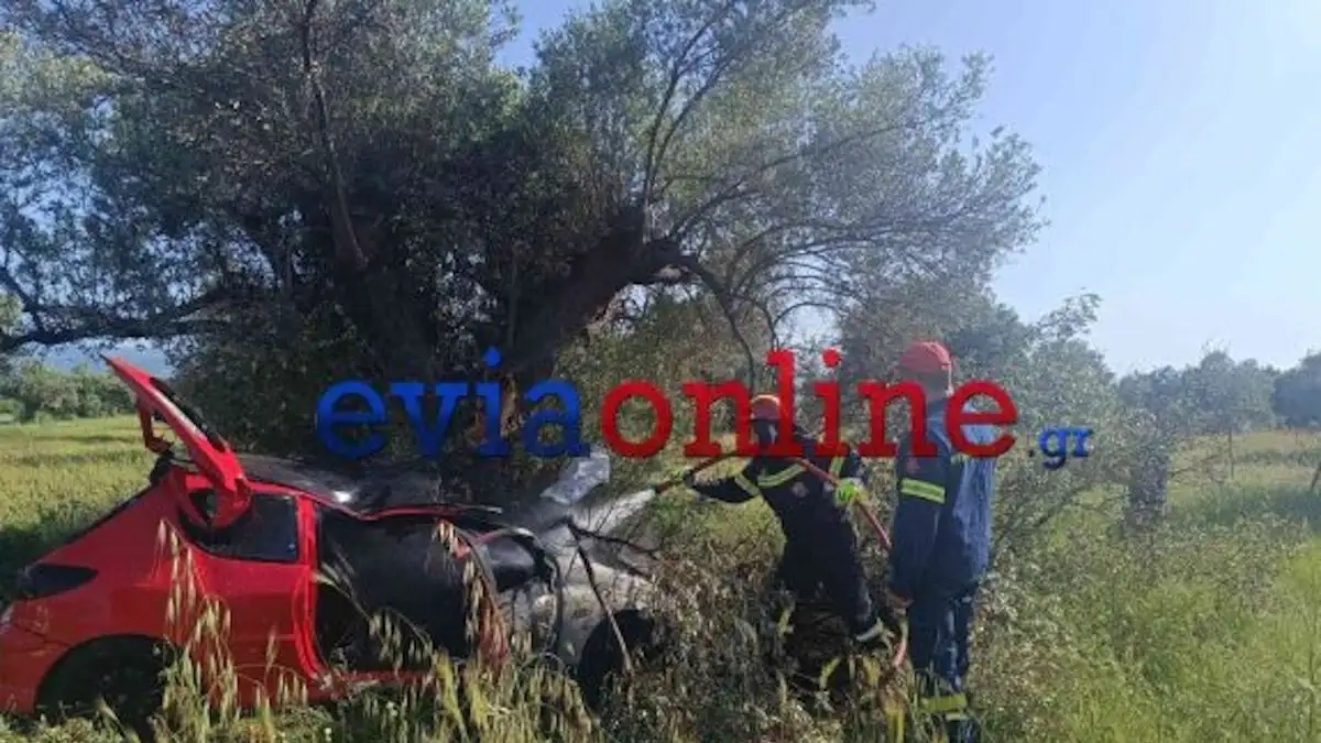 Εύβοια: Αυτοκίνητο έφυγε από τον δρόμο, έπεσε σε ελιά και τυλίχθηκε στις φλόγες