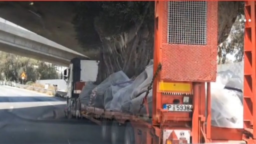 Οδηγός φορτηγού περνάει με μεγάλη μαεστρία ελιές κάτω από γέφυρα στην Ποσειδώνος (βίντεο)