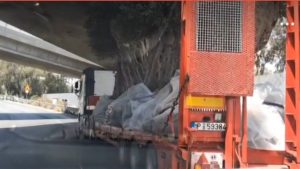 Οδηγός φορτηγού περνάει με μεγάλη μαεστρία ελιές κάτω από γέφυρα στην Ποσειδώνος (βίντεο)