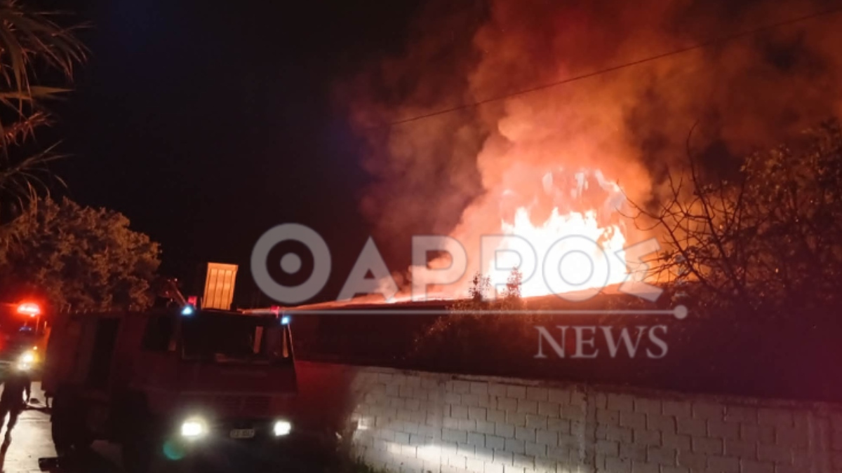 Φωτιά σε επιχείρηση ξυλείας στην Καλαμάτα (Βίντεο – Φωτογραφίες)