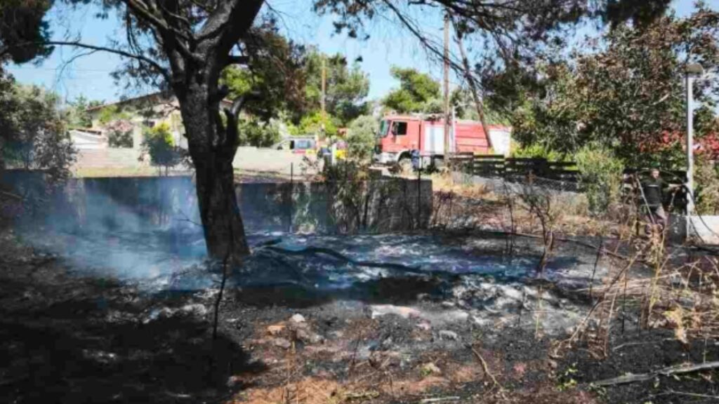 Φωτιά στο Κρυονέρι: Οι πρώτες εικόνες μετά την πυρκαγιά (φωτογραφίες)