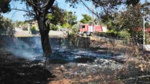 Φωτιά στο Κρυονέρι: Οι πρώτες εικόνες μετά την πυρκαγιά (φωτογραφίες)