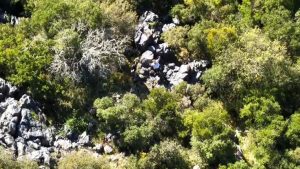Συναγερμός για δυο περιπατητές στην Κέρκυρα – Βίντεο από την επιχείρηση