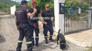 Κόρινθος: Εντοπίστηκε χωρίς τις αισθήσεις του ο 82χρονος που αγνοούνταν από την Κλένια