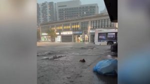 Βιβλική καταστροφή στη Νέα Υόρκη: Πλημμύρισαν δρόμοι, οδηγοί ανέβηκαν στις οροφές των Ι.Χ. για να σωθούν (Bίντεο)