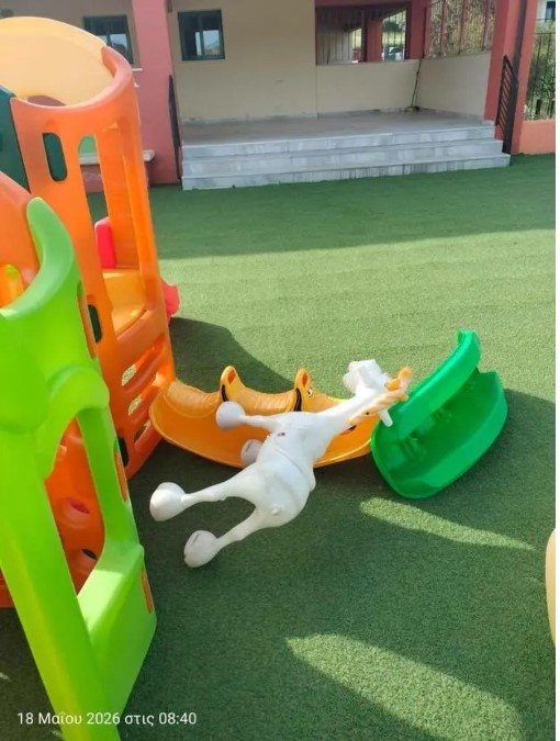 Φωτογραφία