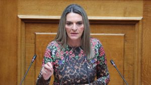 Το Πόθεν Έσχες της Πέτης Πέρκα για το 2025 – Το εισόδημα και τα ακίνητα που έχει στην κατοχή της