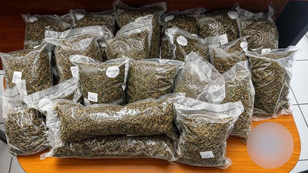Θεσσαλονίκη: Κατασχέθηκαν 4,8 κιλά κάνναβης σε οικία – Μία σύλληψη, δείτε βίντεο