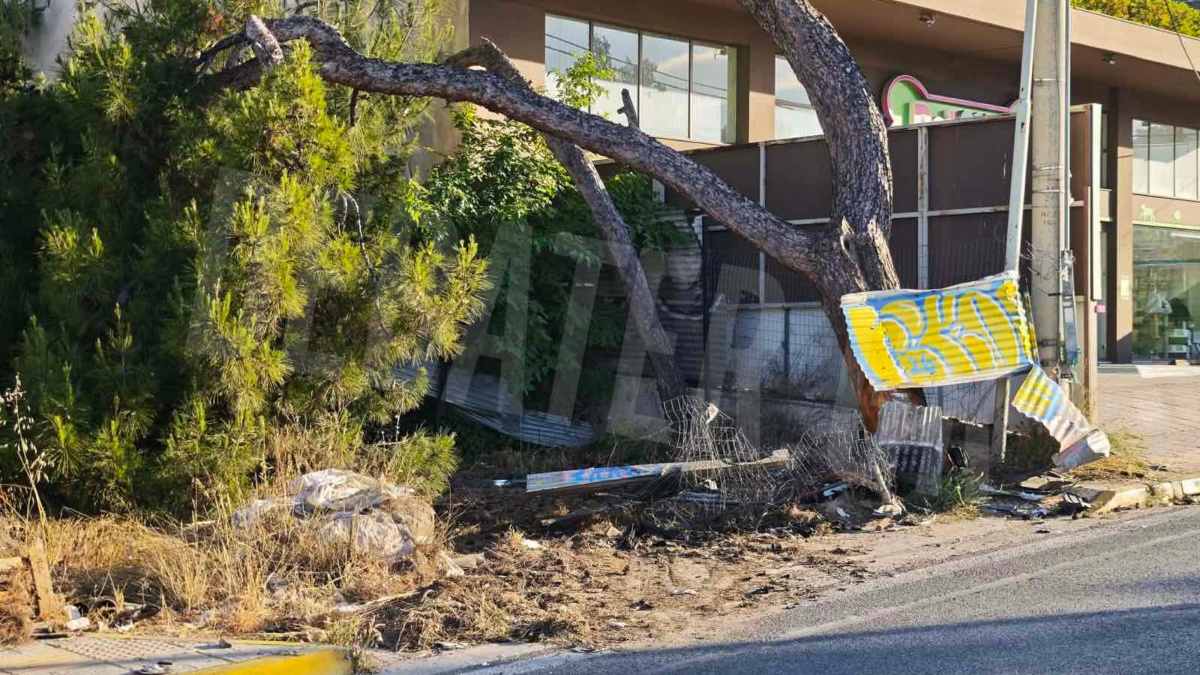 Φωτογραφία