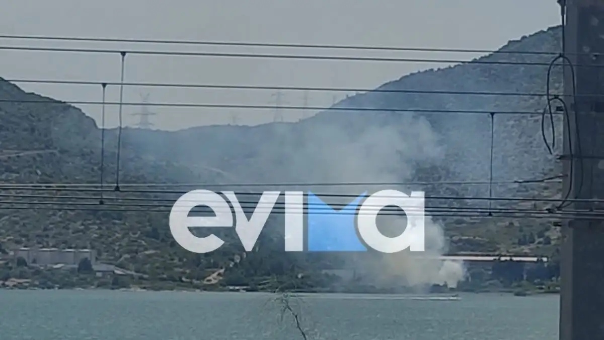Χαλκίδα: Φωτιά ξέσπασε κοντά στην υψηλή γέφυρα
