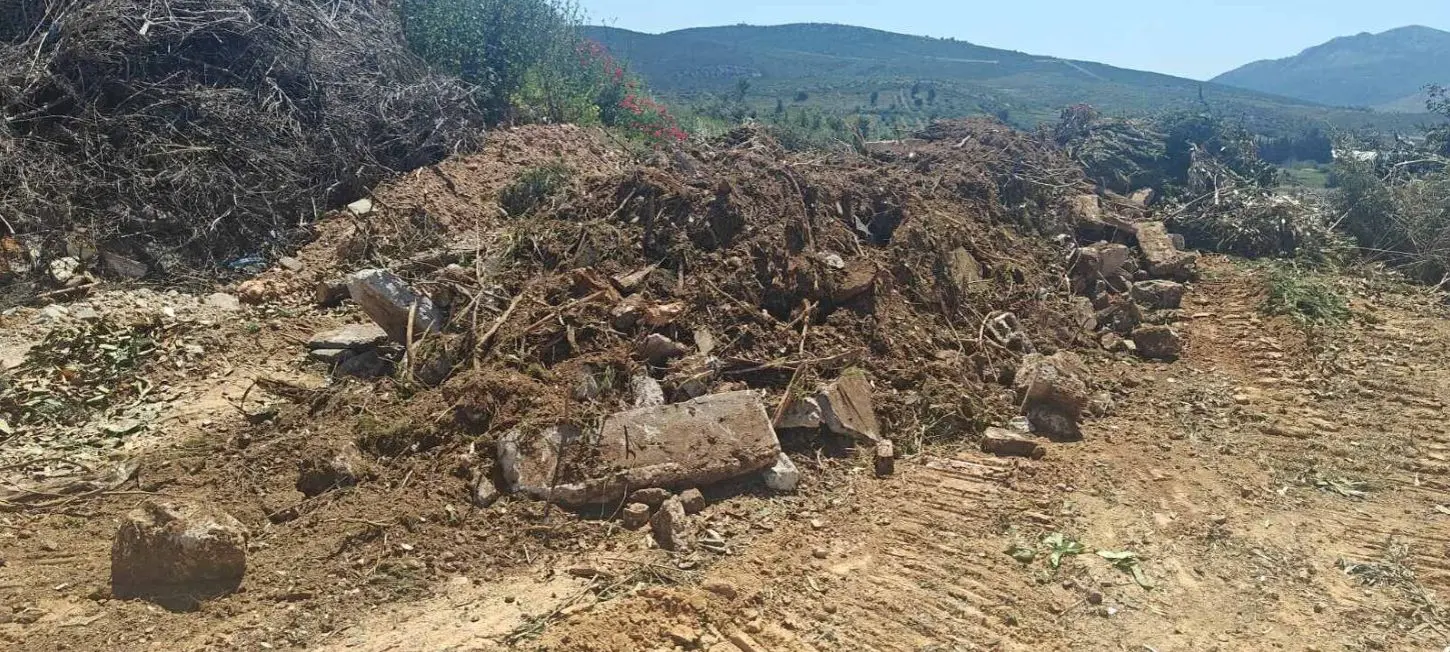 Φωτογραφία