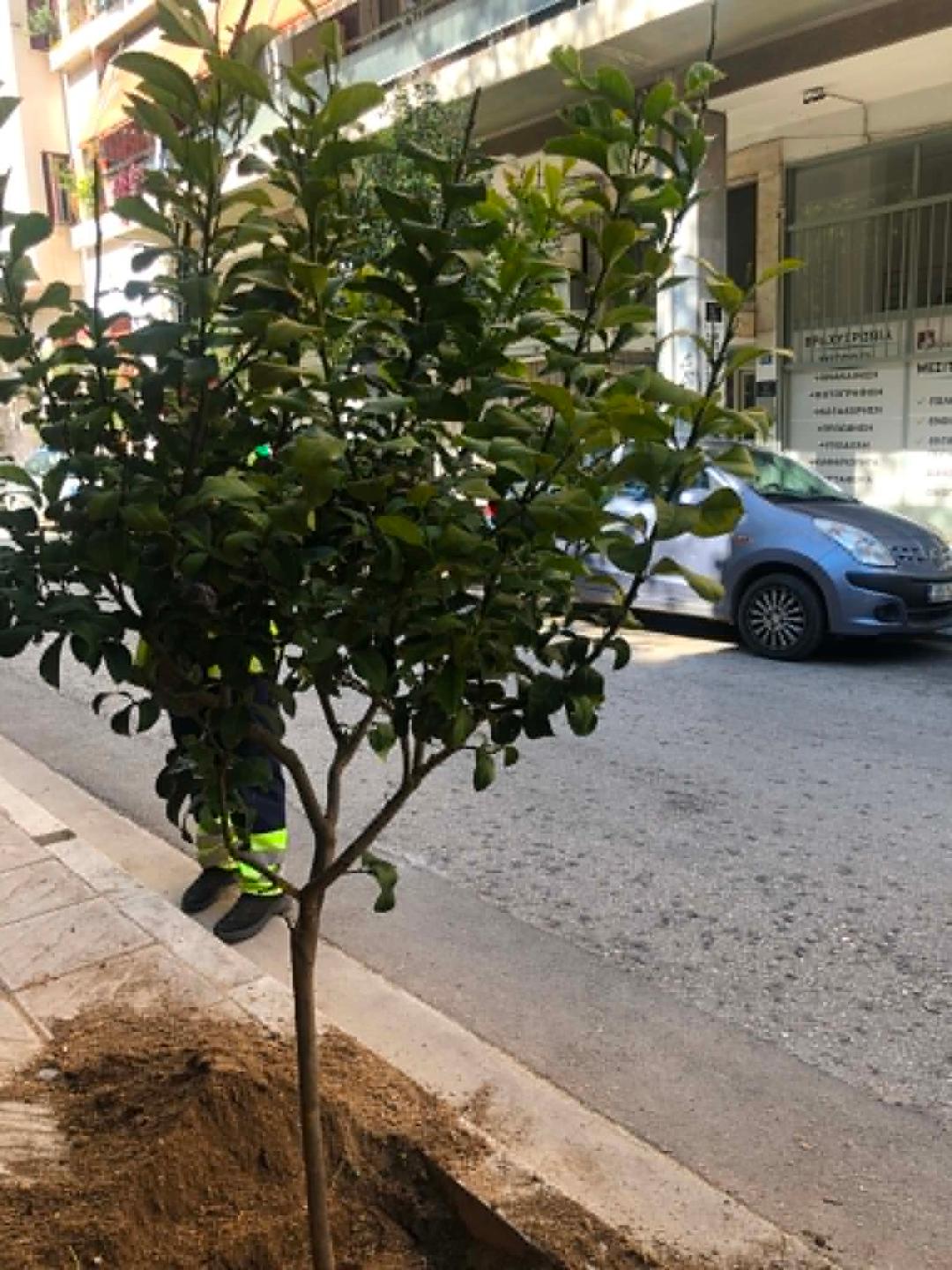 Φωτογραφία