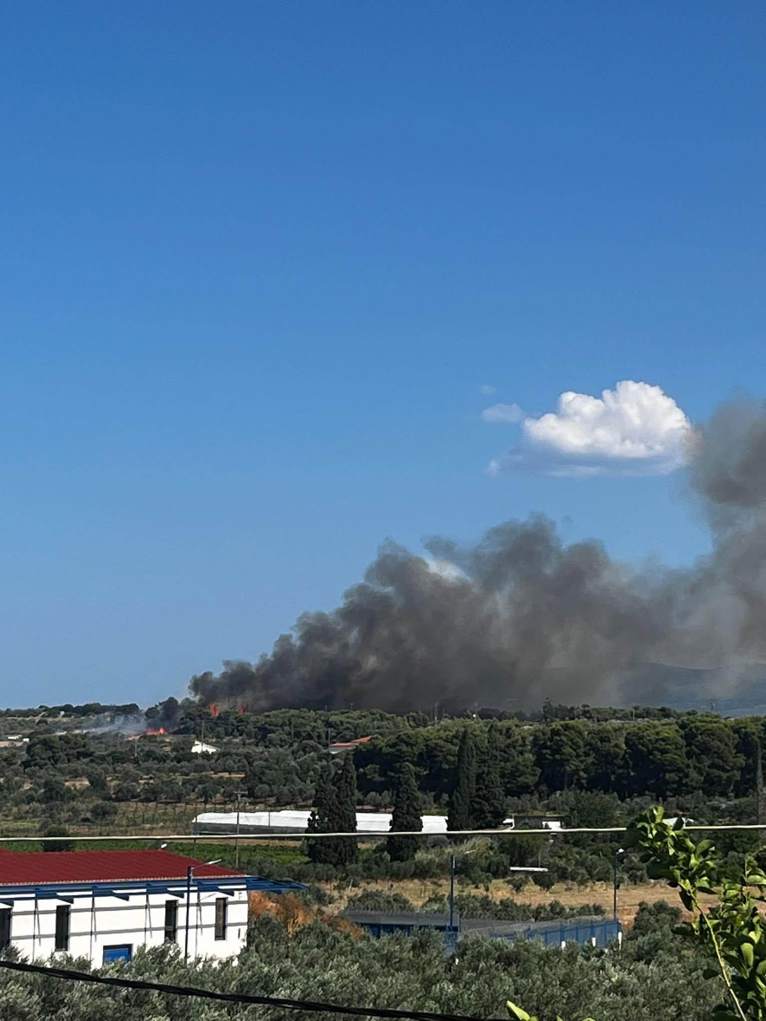 Φωτογραφία