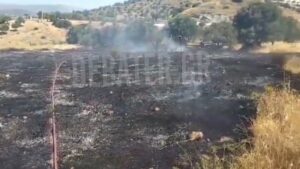 Οριοθετήθηκε άμεσα η φωτιά στον Κουβαρά Αττικής – Δείτε τι πρόλαβε να κάψει (βίντεο)