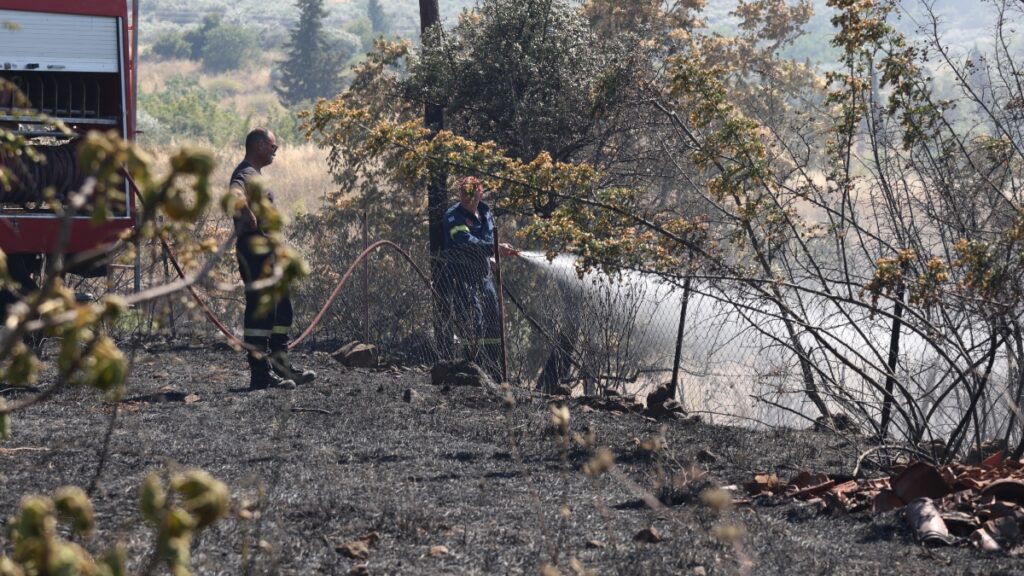 Σύλληψη 57χρονης για πυρκαγιά από πρόθεση στην Κορινθία – Πώς την προκάλεσε