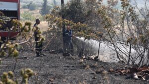 Σύλληψη 57χρονης για πυρκαγιά από πρόθεση στην Κορινθία – Πώς την προκάλεσε