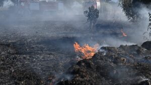 Υψηλός κίνδυνος πυρκαγιάς αύριο Τρίτη σε Αττική, Κρήτη, Εύβοια και Ρόδο
