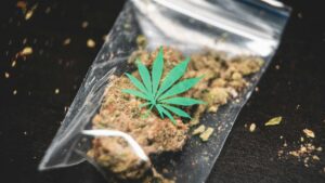Παγκόσμια ημέρα κατά των ναρκωτικών: Αυξημένη χρήση κάνναβης από εφήβους