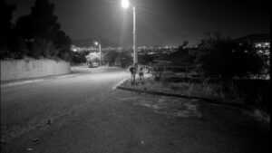 Μαγική εικόνα στο Μενίδι: Μαμά ελαφίνα με το ελαφάκι της στις εργατικές κατοικίες (Φωτογραφία)