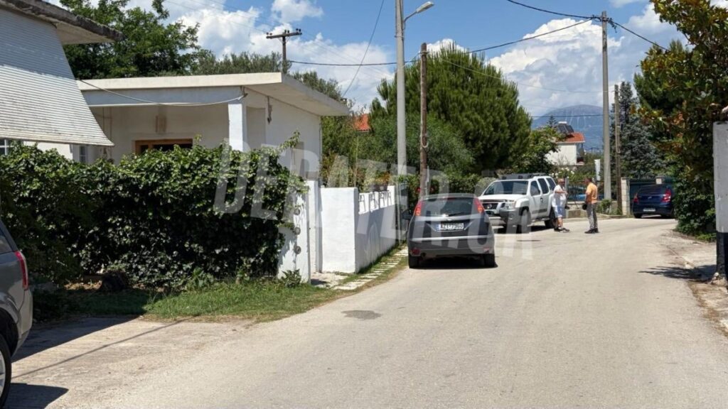 Έγκλημα στην Aιγιάλεια: Έδωσε μάχη με τον δολοφόνο η 54χρονη μητέρα – Ο 26χρονος φέρει τραύμα από αεροβόλο στο κεφάλι.