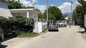Έγκλημα στην Aιγιάλεια: Έδωσε μάχη με τον δολοφόνο η 54χρονη μητέρα – Ο 26χρονος φέρει τραύμα από αεροβόλο στο κεφάλι.