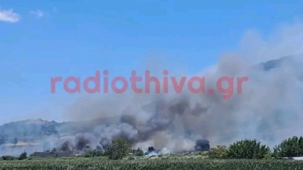 Φωτιά στον Αλίαρτο Βοιωτίας: Ενεργοποιήθηκε το 112, εκκενώνεται η περιοχή Πέτρα, επιχειρούν 3 αεροσκάφη και ένα ελικόπτερο