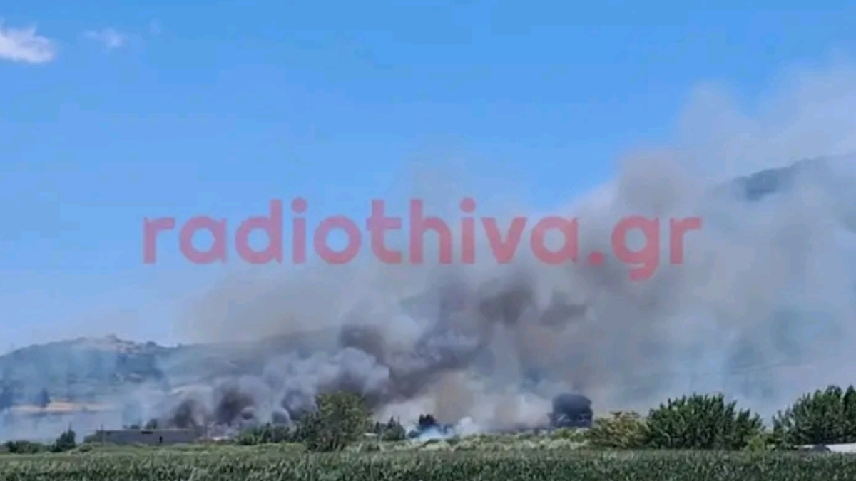 Φωτιά στην Πέτρα Βοιωτίας: Ενεργοποιήθηκε το 112 για εκκένωση, “απομακρυνθείτε προς Λιβαδειά” – Μπήκε στον οικισμό η πυρκαγιά (βίντεο)