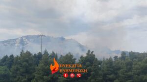 Φωτιά κοντά στο Άλσος Βεΐκου, επιχειρούν και 2 ελικόπτερα – Εκτροπές κυκλοφορίας