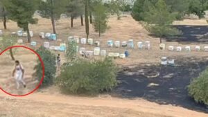 Άλσος Βεΐκου: Η στιγμή που μελισσοκόμος απομακρύνεται όταν οριοθετήθηκε η φωτιά – Ταυτοποιήθηκε και αναζητείται