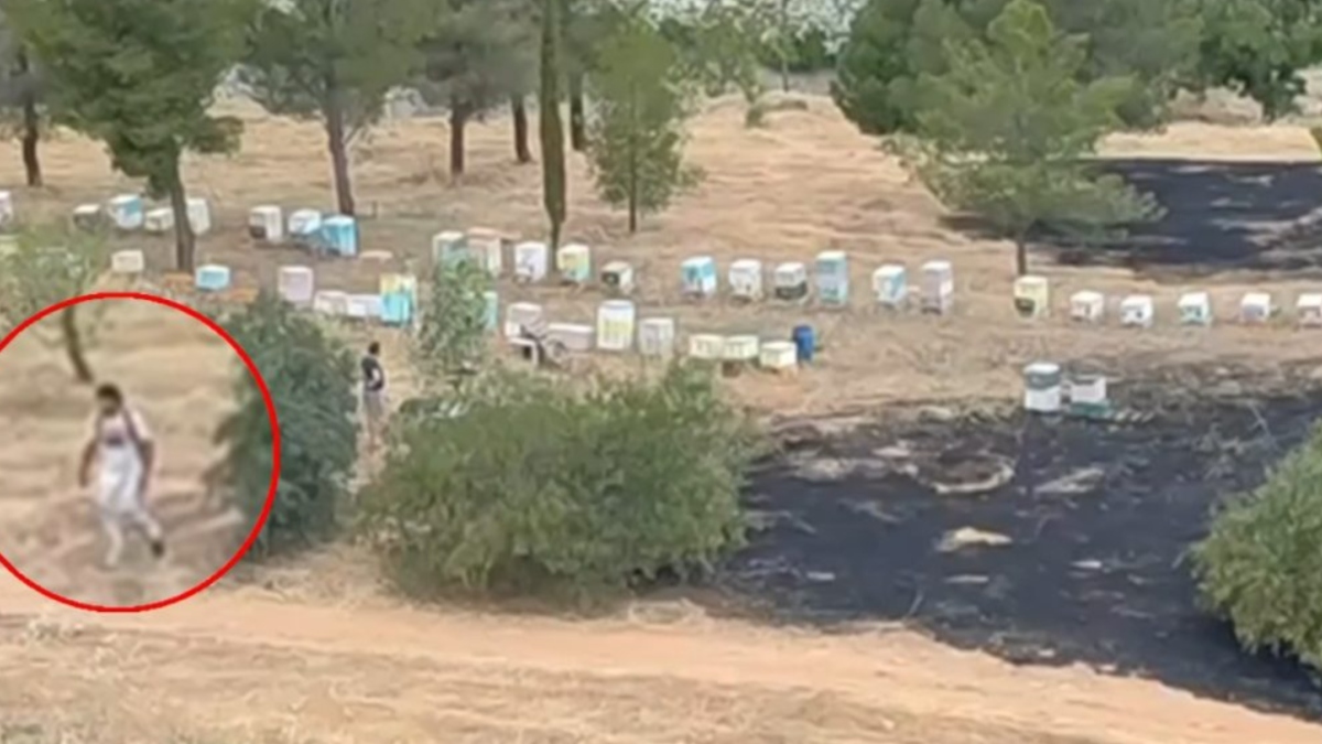 Άλσος Βεΐκου: Η στιγμή που μελισσοκόμος απομακρύνεται όταν οριοθετήθηκε η φωτιά – Ταυτοποιήθηκε και αναζητείται