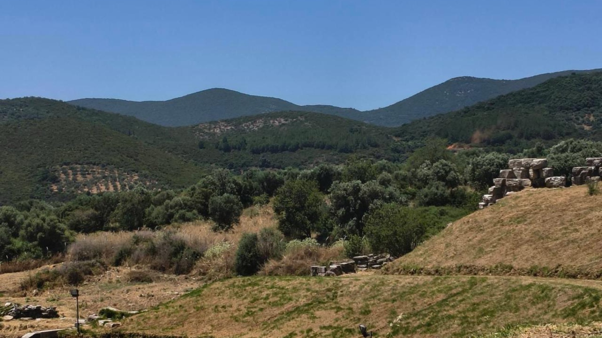 Φωτογραφία
